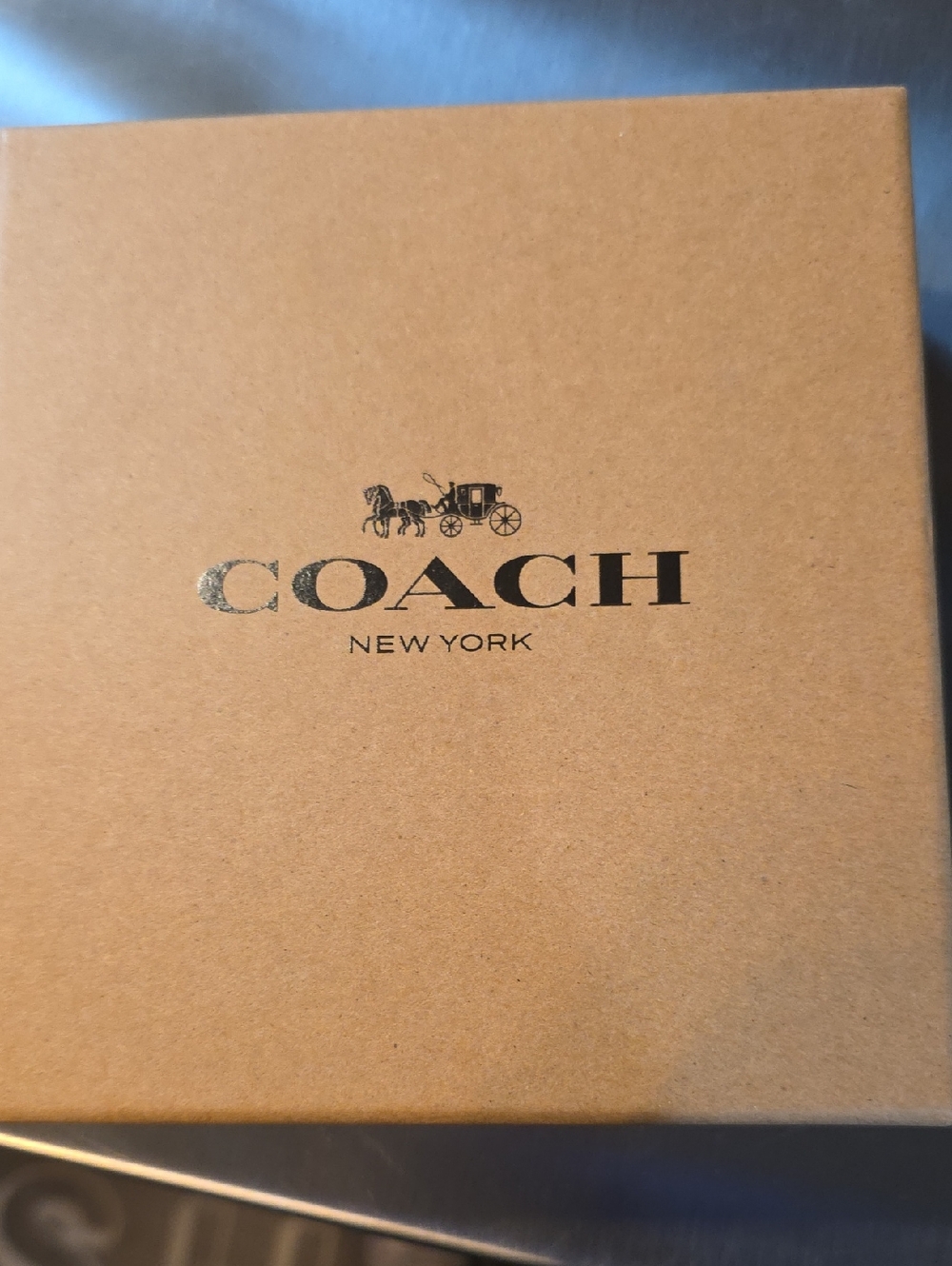 Coach Box with Black Logo on Brown Leash